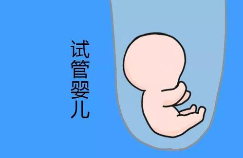 爱心供卵助孕咨询怎么收费